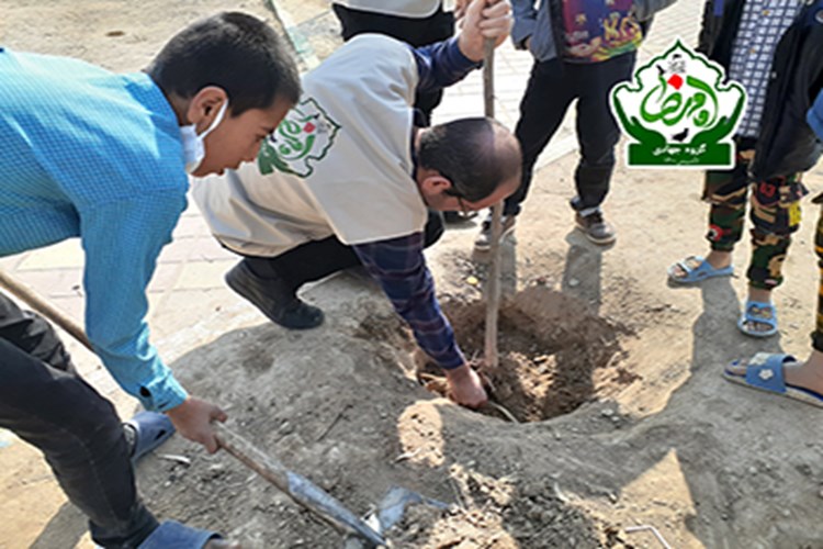 نهالکاری روستای عشق آباد 